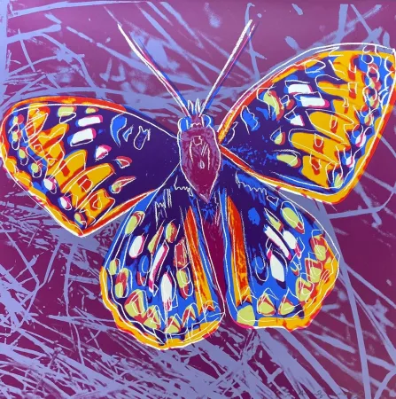 丝网印刷 Warhol - San Francisco Silverspot (FS II.298)