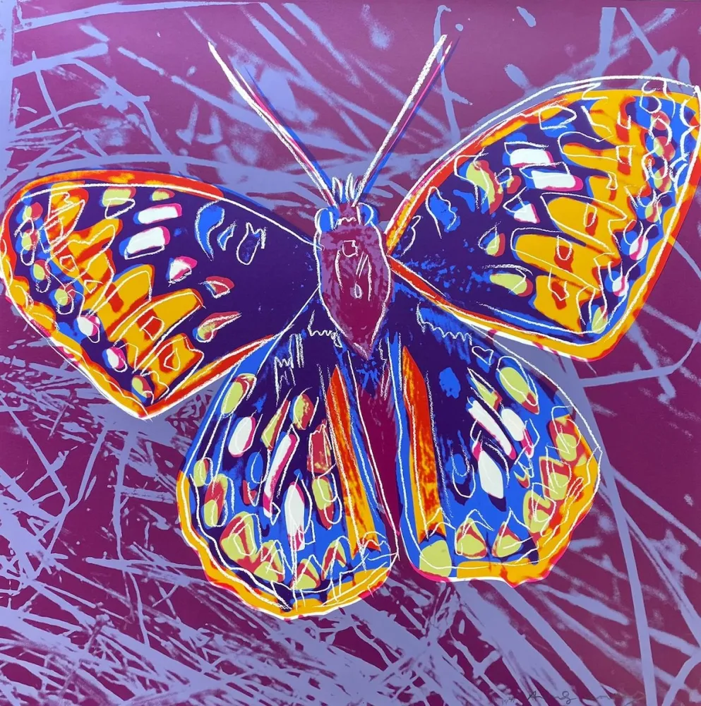 丝网印刷 Warhol - San Francisco Silverspot (FS II.298)