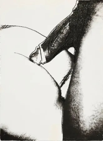 丝网印刷 Warhol - Sex Parts II.174