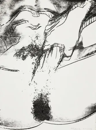 丝网印刷 Warhol - Sex Parts II.177