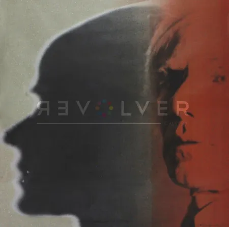 丝网印刷 Warhol - Shadow (FS II.267)