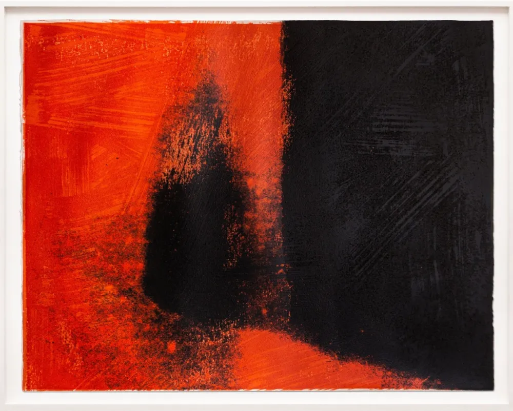 丝网印刷 Warhol - Shadows I