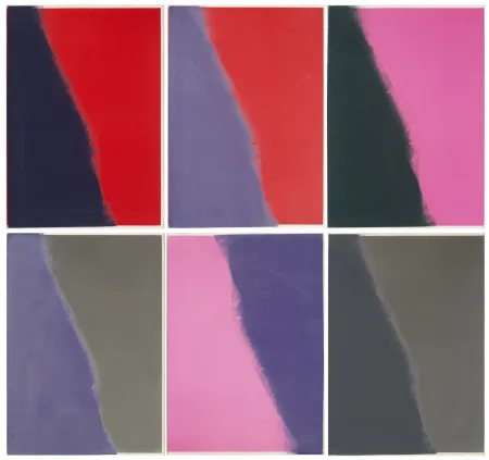 丝网印刷 Warhol - Shadows II Complete Portfolio (FS II.210-215)
