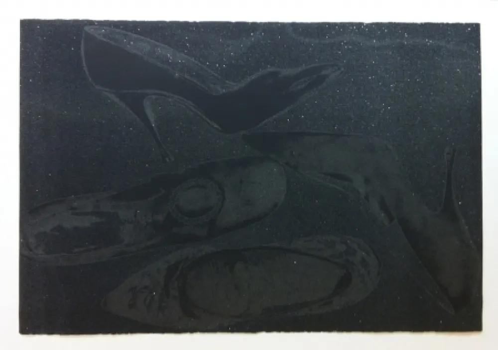 丝网印刷 Warhol - Shoes II.248 (Deluxe Edition)