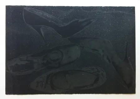 丝网印刷 Warhol - Shoes II.248 (Deluxe Edition)