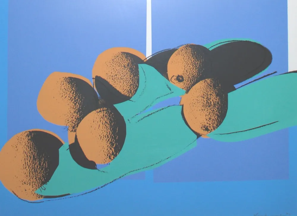 丝网印刷 Warhol -  Space Fruit: Cantaloupes I 201