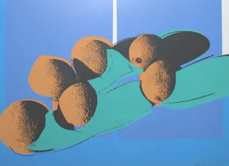 丝网印刷 Warhol -  Space Fruit: Cantaloupes I 201