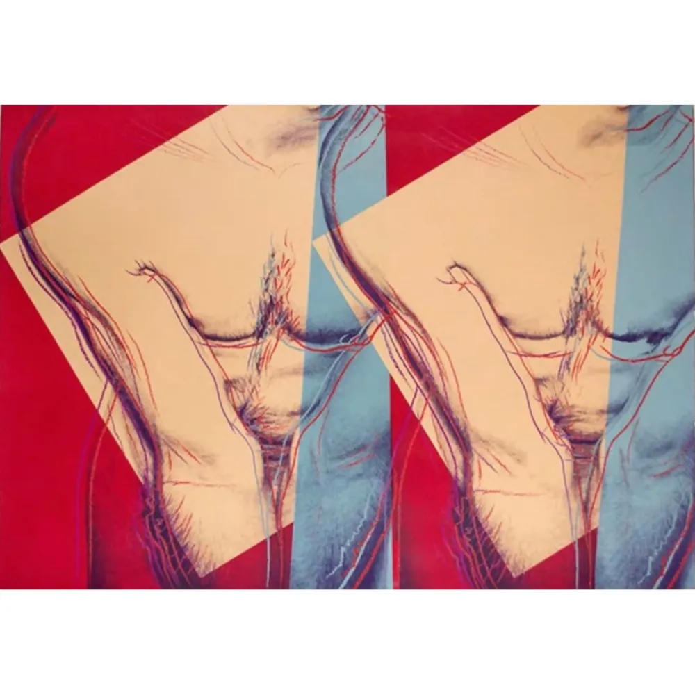 丝网印刷 Warhol - Torso (Double) (FS IIIA.35)