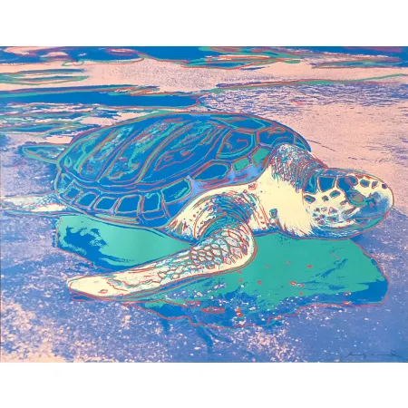 丝网印刷 Warhol - Turtle
