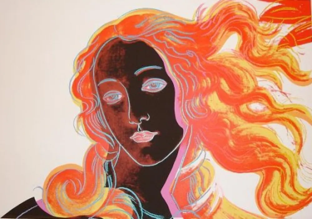 丝网印刷 Warhol - Venus