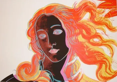 丝网印刷 Warhol - Venus