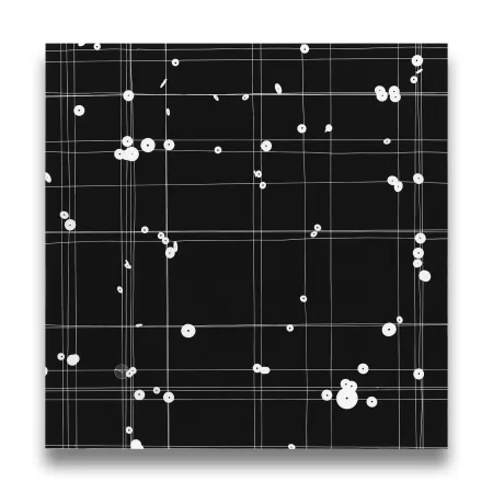 摄影 Webber - Mid Point 2