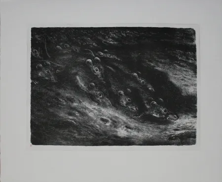 石版画 Weber - Rattenzug