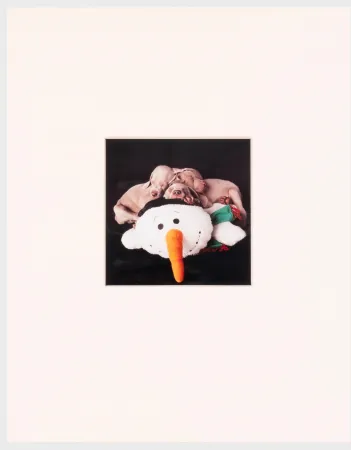 摄影 Wegman - Three for One