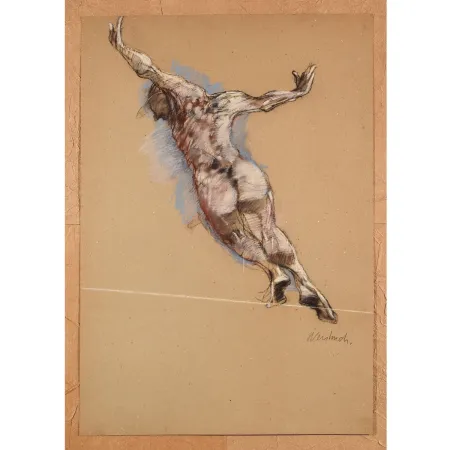 无技术 Weisbuch - Le saut de l’ange