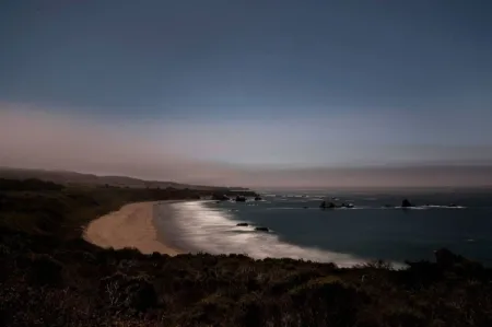 摄影 Wesely - Arroyo Hondo Preserve