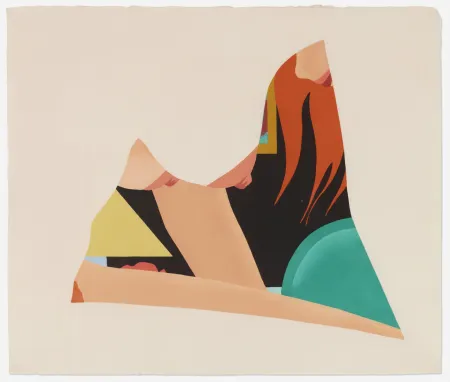 木刻 Wesselmann - Bedroom Dropout