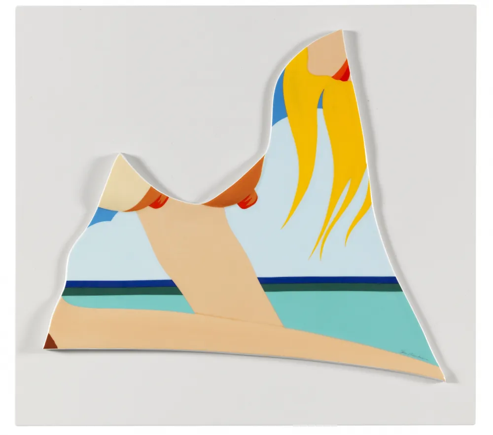 复数作品 Wesselmann - Seascape