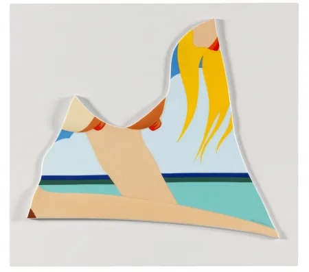 复数作品 Wesselmann - Seascape