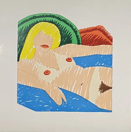 无技术 Wesselmann - Shiny Nude