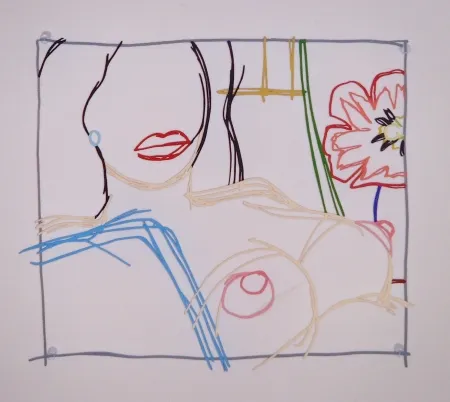 复数作品 Wesselmann - Steel Drawing: From Nude Painting