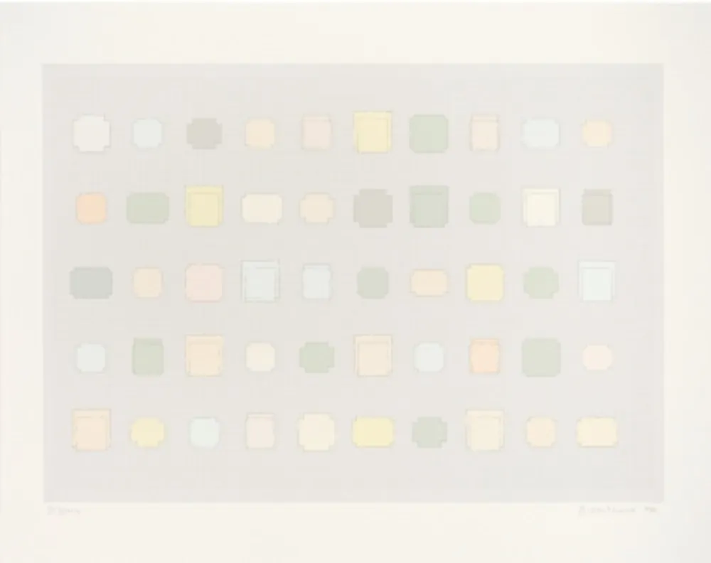 丝网印刷 Whiteread - 50 Spaces