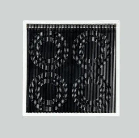 复数作品 Wilding - SB IV