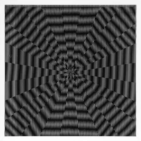 复数作品 Wilding - SBST 2818