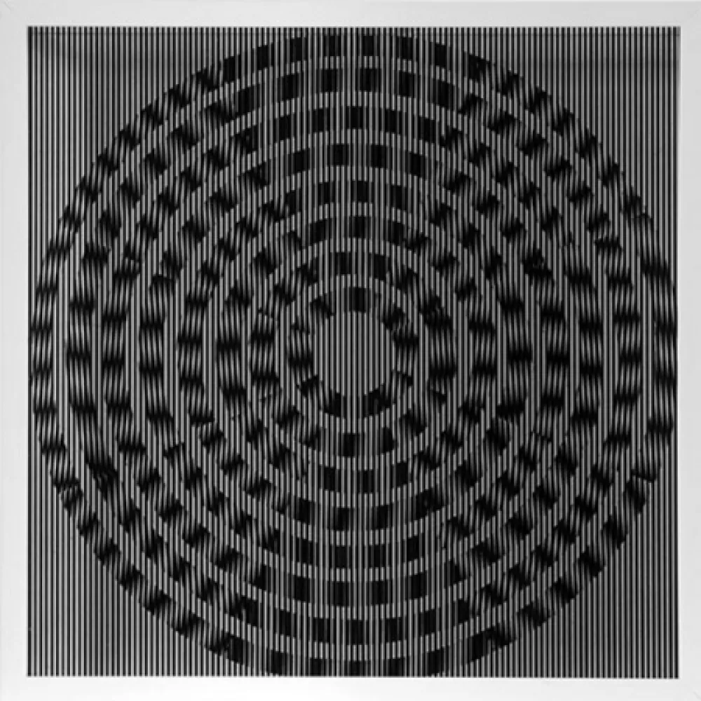 复数作品 Wilding - SBST 2823