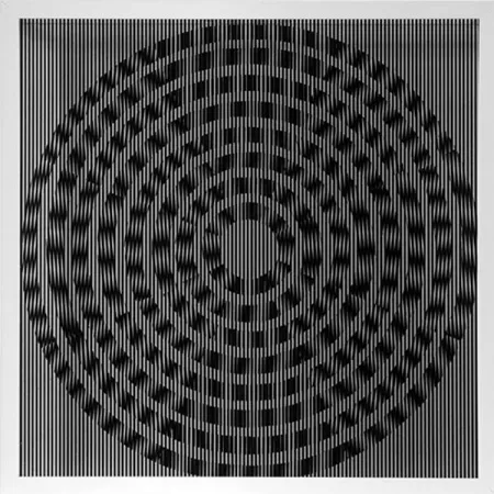 复数作品 Wilding - SBST 2823