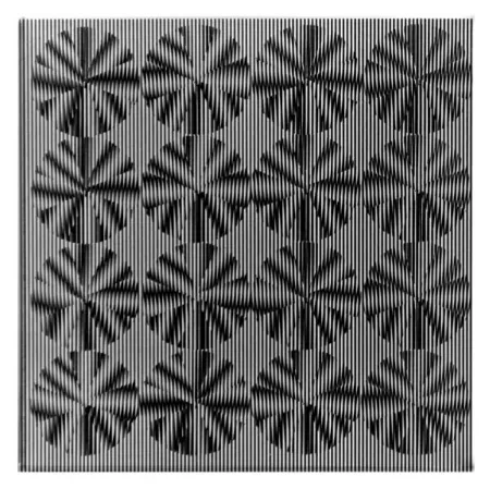 复数作品 Wilding - SBST 2827