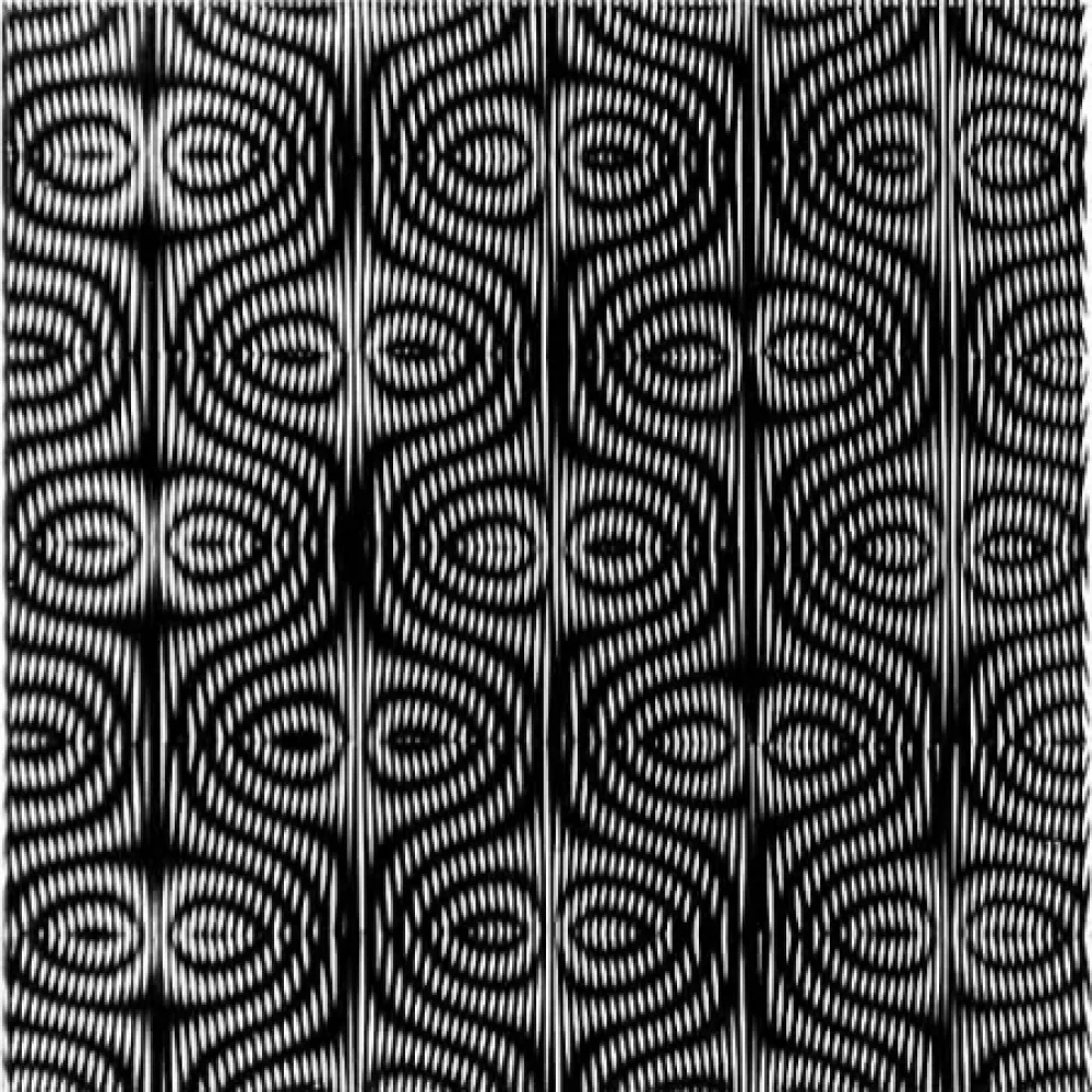 复数作品 Wilding - SBST 2838