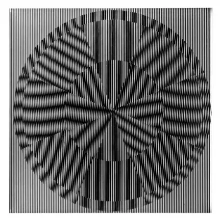 复数作品 Wilding - SBST 2839