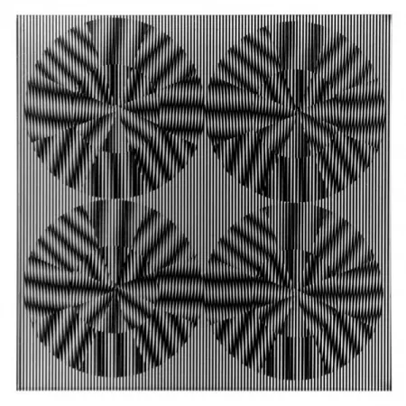 复数作品 Wilding - SBT 2835