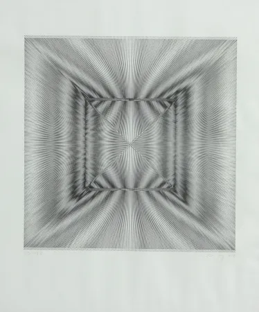 石版画 Wilding - SENZA TITOLO