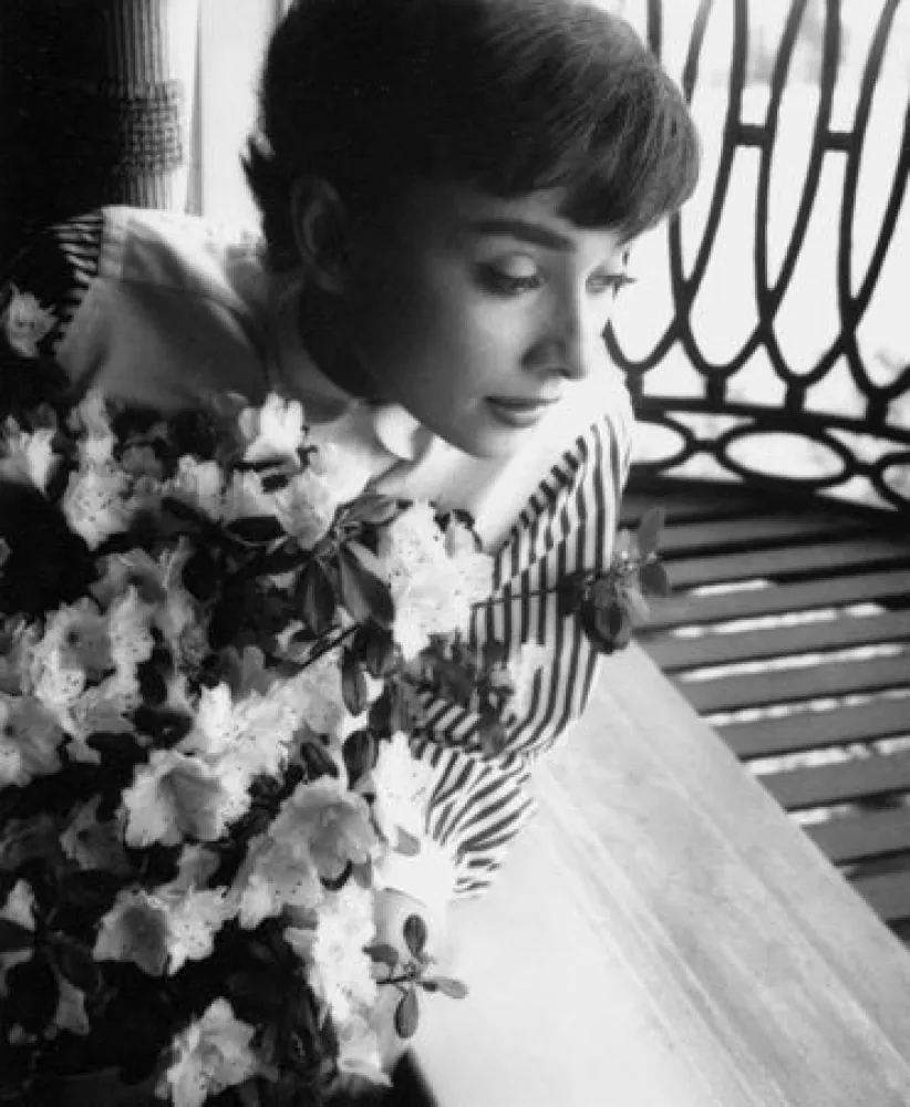 摄影 Willoughby - Audrey Hepburn window