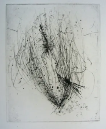 版画 Wols - Akblute