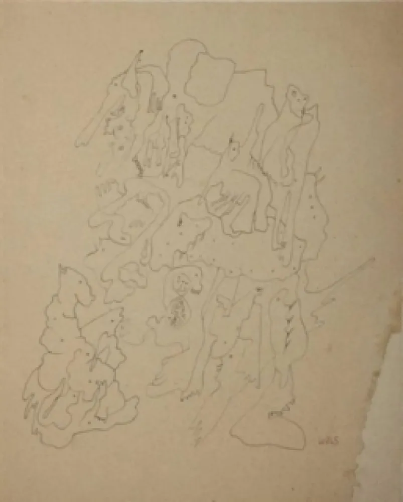 无技术 Wols - Les rochers du zoo