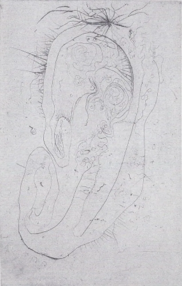 插图书 Wols - Naturelles