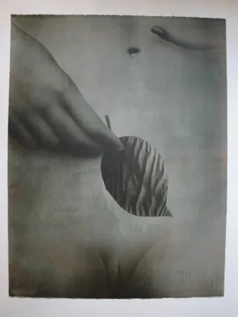 石版画 Wunderlich - Das Blatt