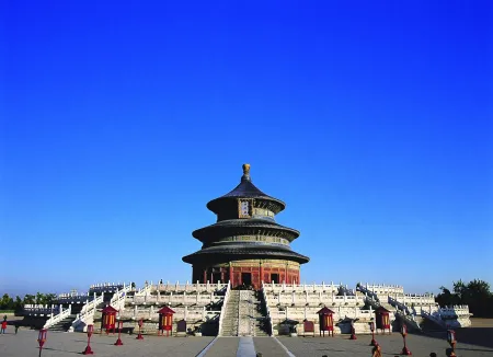 摄影 Yan - Bird Tiantan No.1