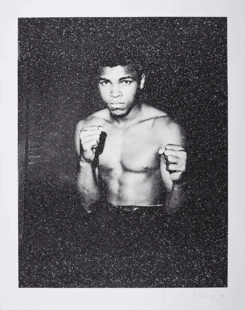 丝网印刷 Young - Ali