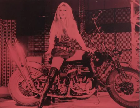 复数作品 Young - Bridgitte Bardot Pink