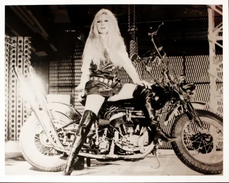 丝网印刷 Young - Brigitte Bardot sur sa Harley Davidson 