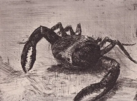 插图书 Zamorano De Biedma - Bestiaire