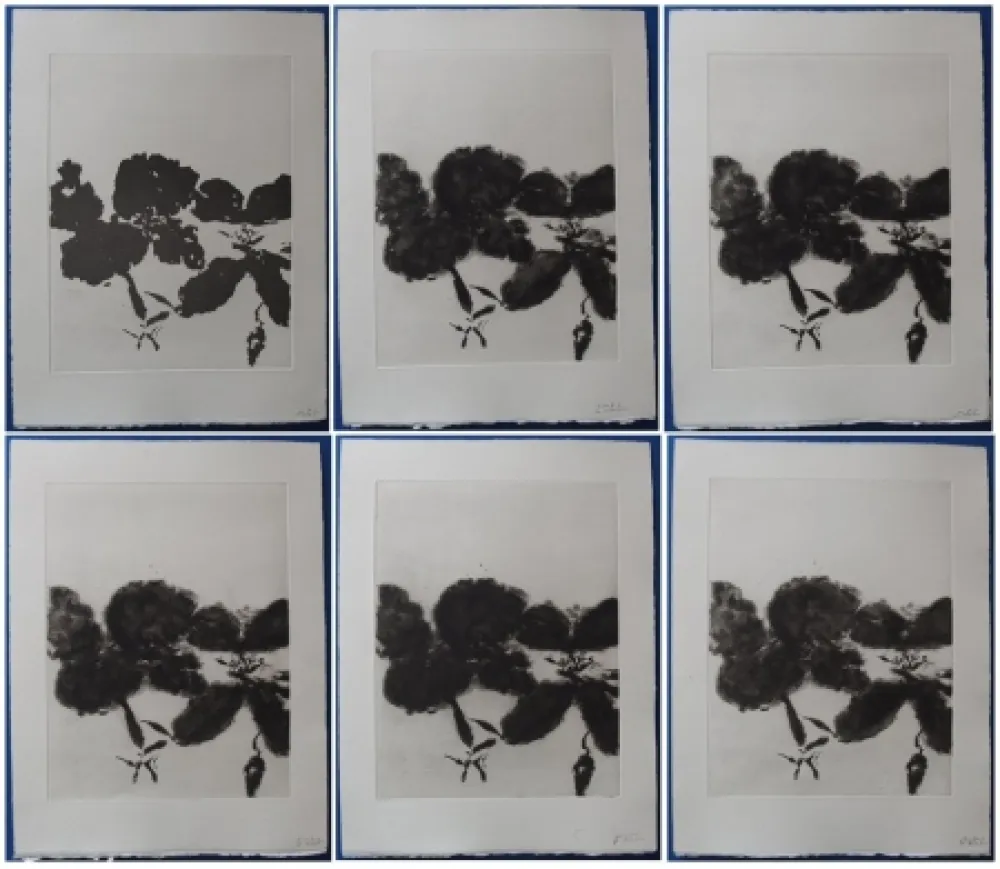 蚀刻飞尘法 Zao - 6 états de la gravure 