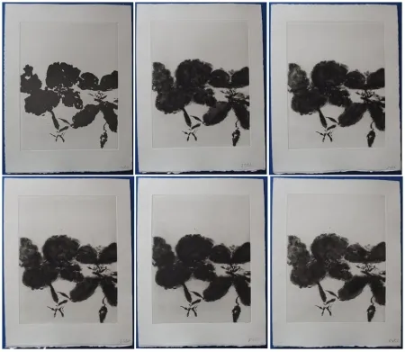 蚀刻飞尘法 Zao - 6 états de la gravure 