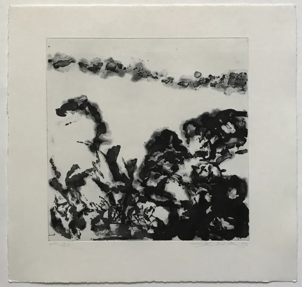 蚀刻飞尘法 Zao - Éloge des choses extrêmement légères (362)