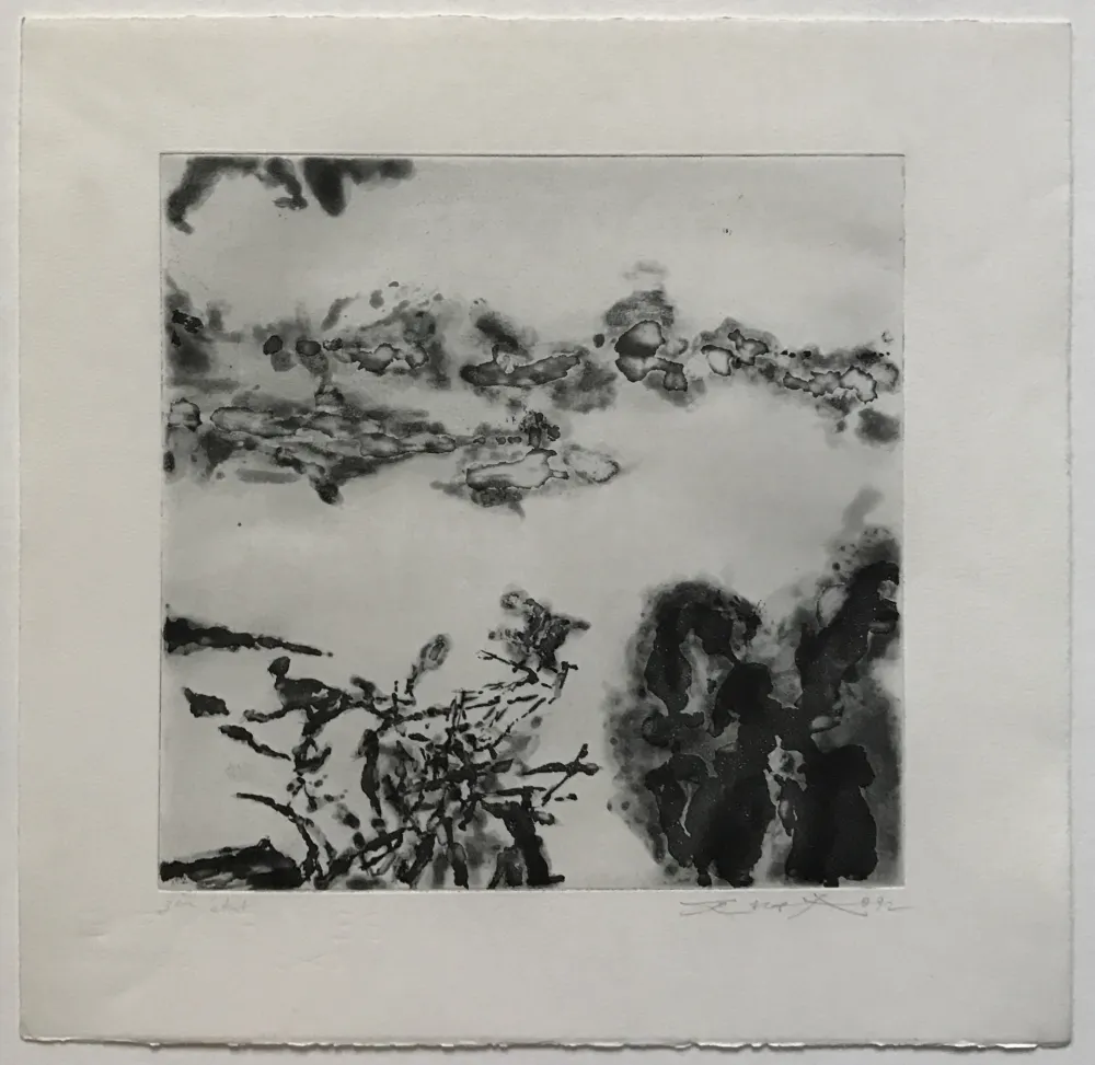 蚀刻飞尘法 Zao - Éloge des choses extrêmement légères (364)