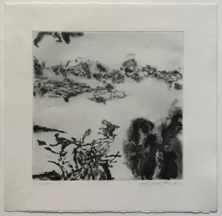 蚀刻飞尘法 Zao - Éloge des choses extrêmement légères (364)